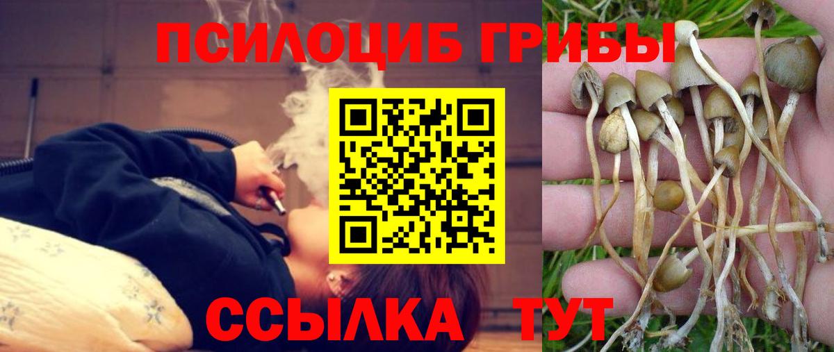 Галлюциногенные грибы мицелий Городец